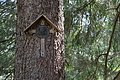 DSC05969 - Bernhard Saalfeld