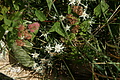 DSC05988 - Bernhard Saalfeld