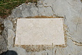 DSC05989 - Bernhard Saalfeld