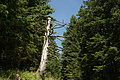 DSC05992 - Bernhard Saalfeld
