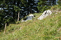 DSC05994 - Bernhard Saalfeld