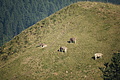 DSC06003 - Bernhard Saalfeld