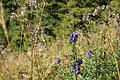 DSC06023 - Bernhard Saalfeld