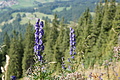 DSC06024 - Bernhard Saalfeld