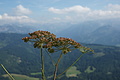 DSC06026 - Bernhard Saalfeld