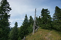 DSC06028 - Bernhard Saalfeld