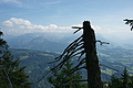 DSC06029 - Bernhard Saalfeld