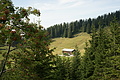 DSC06032 - Bernhard Saalfeld