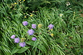 DSC06037 - Bernhard Saalfeld