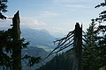 DSC06040 - Bernhard Saalfeld