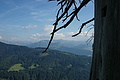 DSC06042 - Bernhard Saalfeld