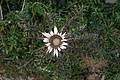 DSC06044 - Bernhard Saalfeld