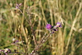 DSC06045 - Bernhard Saalfeld