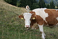 DSC06048 - Bernhard Saalfeld