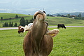 DSC06068 - Bernhard Saalfeld