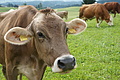 DSC06070 - Bernhard Saalfeld