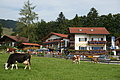 DSC06074 - Bernhard Saalfeld