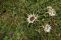 DSC06104 - Bernhard Saalfeld