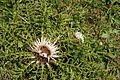 DSC06105 - Bernhard Saalfeld