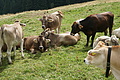 DSC06106 - Bernhard Saalfeld
