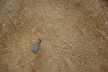 DSC06108 - Bernhard Saalfeld