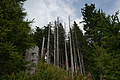 DSC06109 - Bernhard Saalfeld