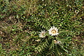 DSC06110 - Bernhard Saalfeld