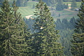 DSC06114 - Bernhard Saalfeld