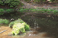 DSC06133 - Bernhard Saalfeld