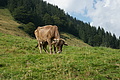 DSC06138 - Bernhard Saalfeld