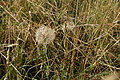 DSC06147 - Bernhard Saalfeld