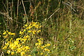DSC06148 - Bernhard Saalfeld