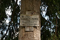 DSC06150 - Bernhard Saalfeld