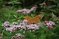 DSC06157 - Bernhard Saalfeld