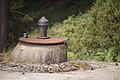 DSC06182 - Bernhard Saalfeld
