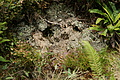 DSC06195 - Bernhard Saalfeld