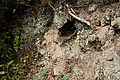 DSC06202 - Bernhard Saalfeld