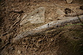 DSC06203 - Bernhard Saalfeld
