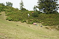 DSC06206 - Bernhard Saalfeld