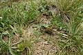 DSC06218 - Bernhard Saalfeld