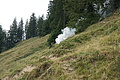 DSC06220 - Bernhard Saalfeld