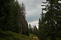 DSC06229 - Bernhard Saalfeld