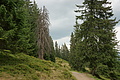 DSC06230 - Bernhard Saalfeld