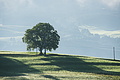 DSC07758 - Bernhard Saalfeld