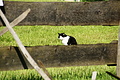 DSC07763 - Bernhard Saalfeld