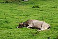 DSC07769 - Bernhard Saalfeld
