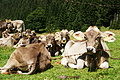 DSC07778 - Bernhard Saalfeld