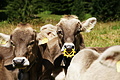 DSC07779 - Bernhard Saalfeld