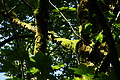 DSC07786 - Bernhard Saalfeld