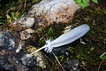 DSC07789 - Bernhard Saalfeld